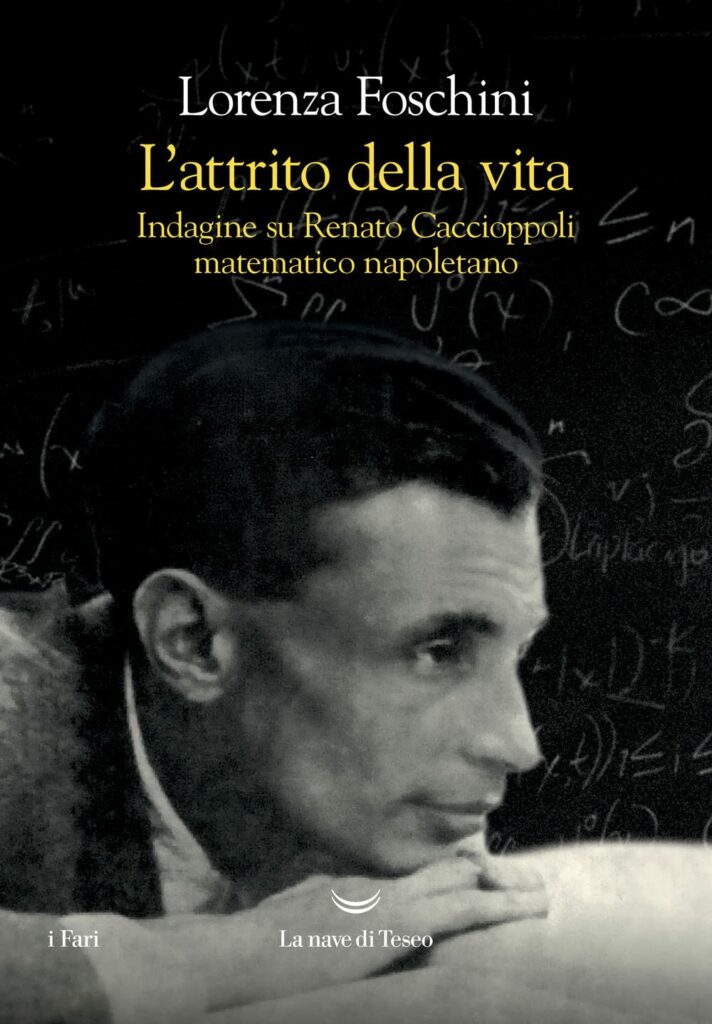 Book Cover: L'attrito della vita