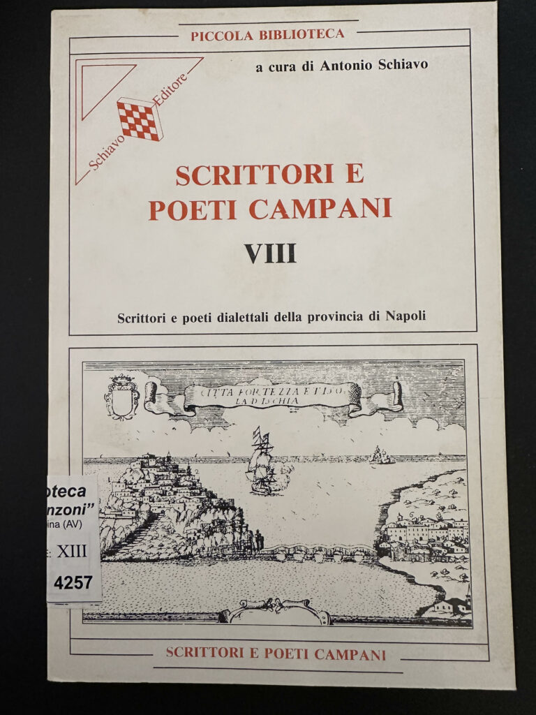 Book Cover: scrittori e poeti campani VIII