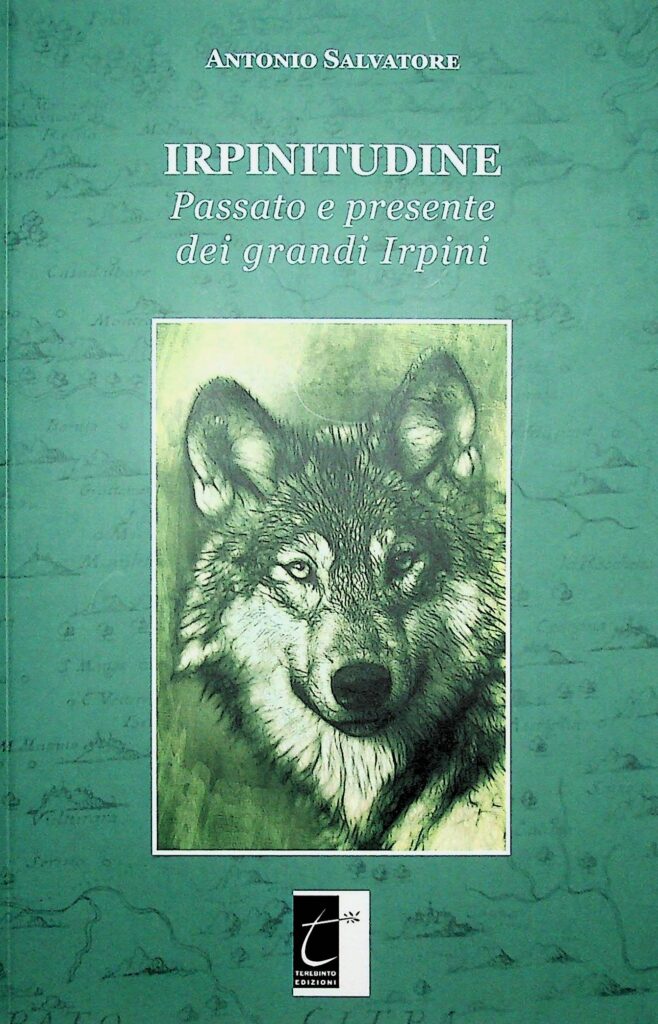 Book Cover: Irpinitudine